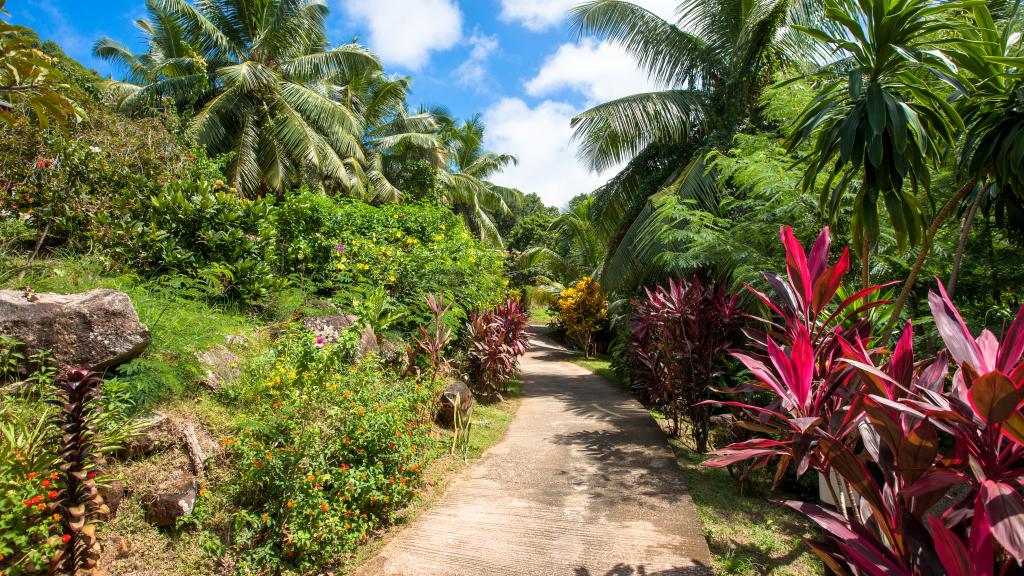 Foto 14: Colibri Guesthouse - Praslin (Seychelles)