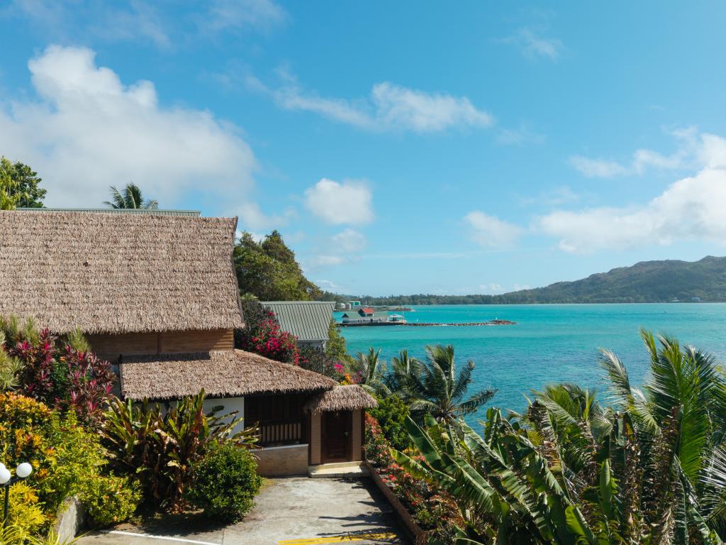 Colibri Guesthouse - Photo 6