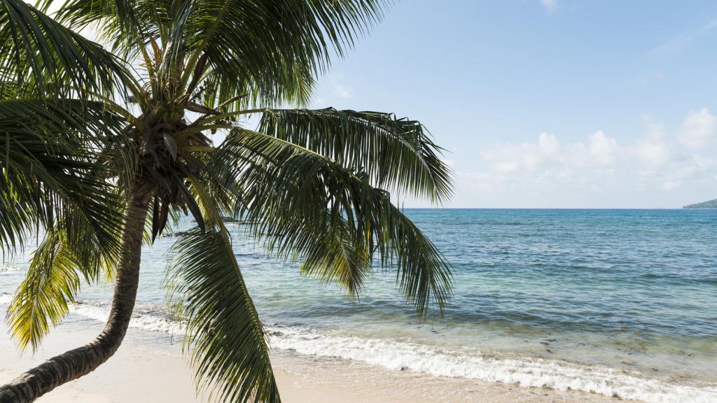 Foto 31: Fisherman's Cove Resort - Mahé (Seychelles)