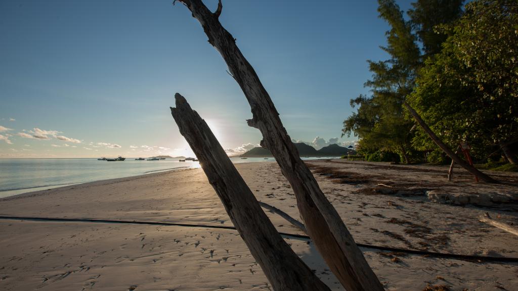 Foto 96: Paradise Sun Hotel - Praslin (Seychelles)