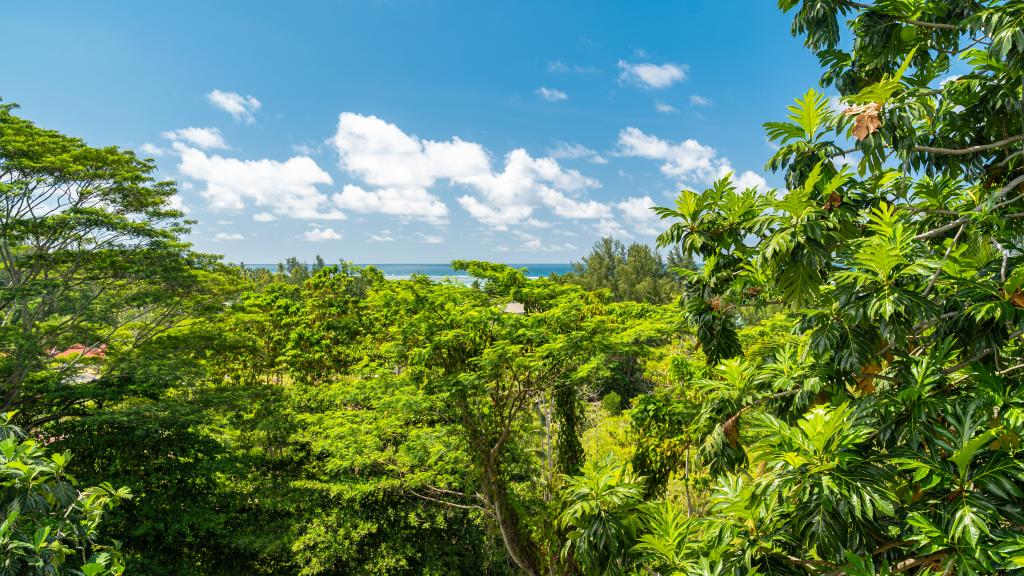 Foto 78: Au Cap Self-Catering - Mahé (Seychellen)