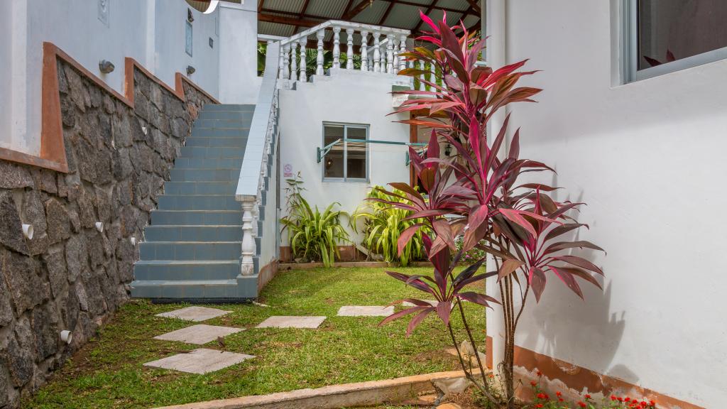 Photo 9: Bougainvillea - Mahé (Seychelles)