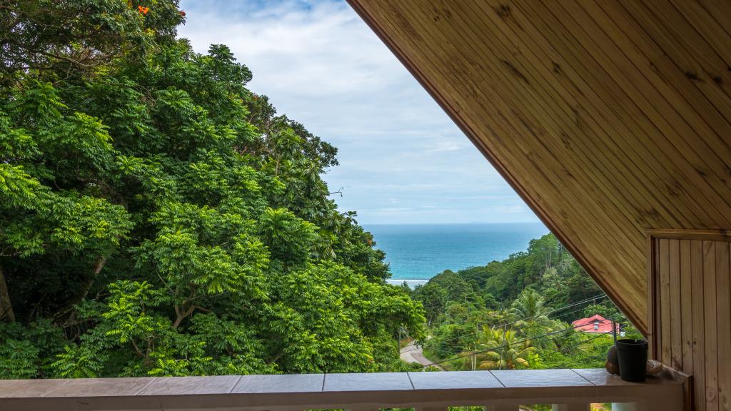 Photo 26: Bougainvillea - Mahé (Seychelles)