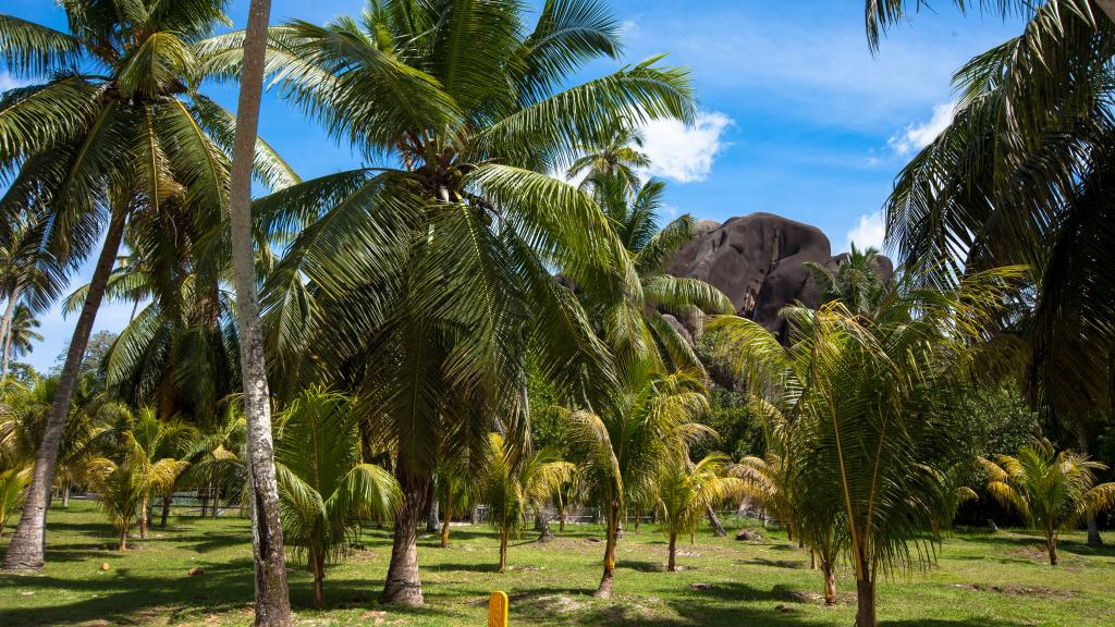 Foto 34: La Digue Island Lodge (L'Union Beach Villas) - La Digue (Seychellen)