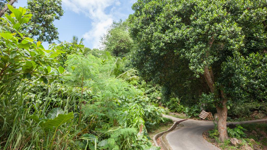 Foto 89: Le Duc de Praslin Hillside Villas - Praslin (Seychellen)