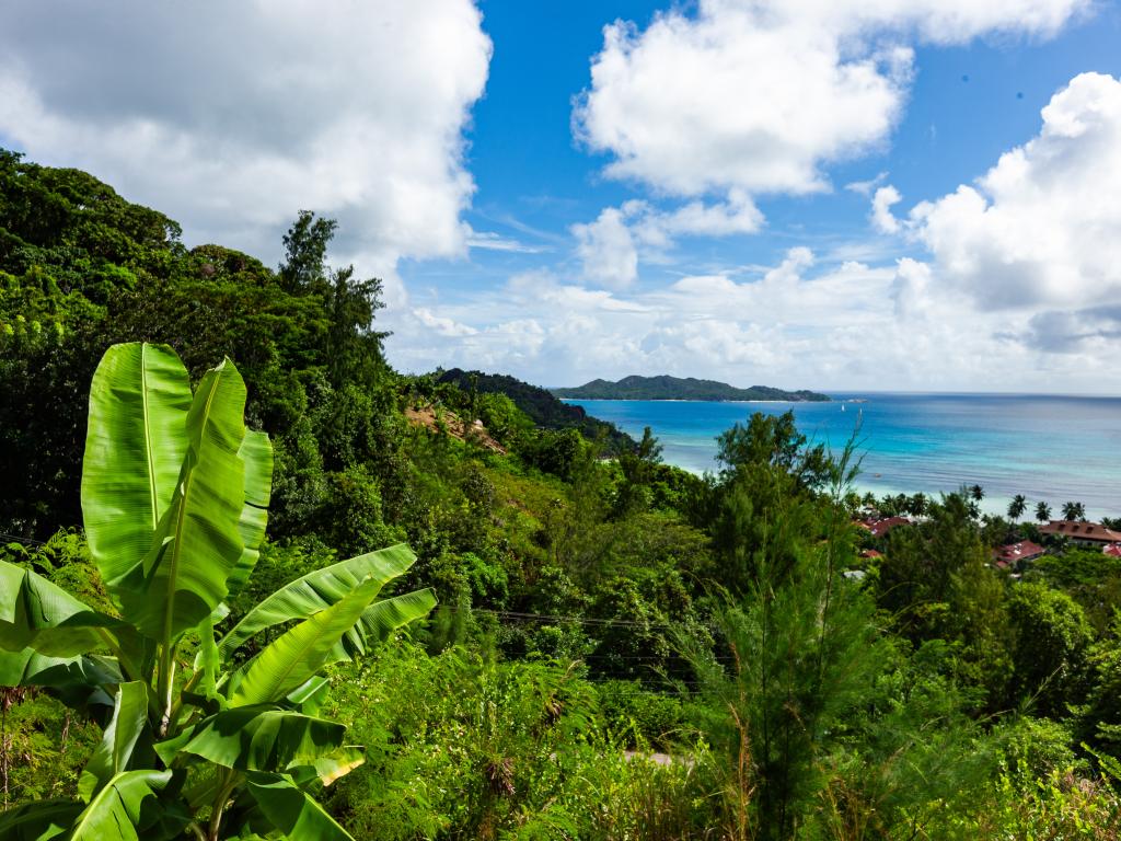 Le Duc de Praslin Hillside Villas - Foto 9