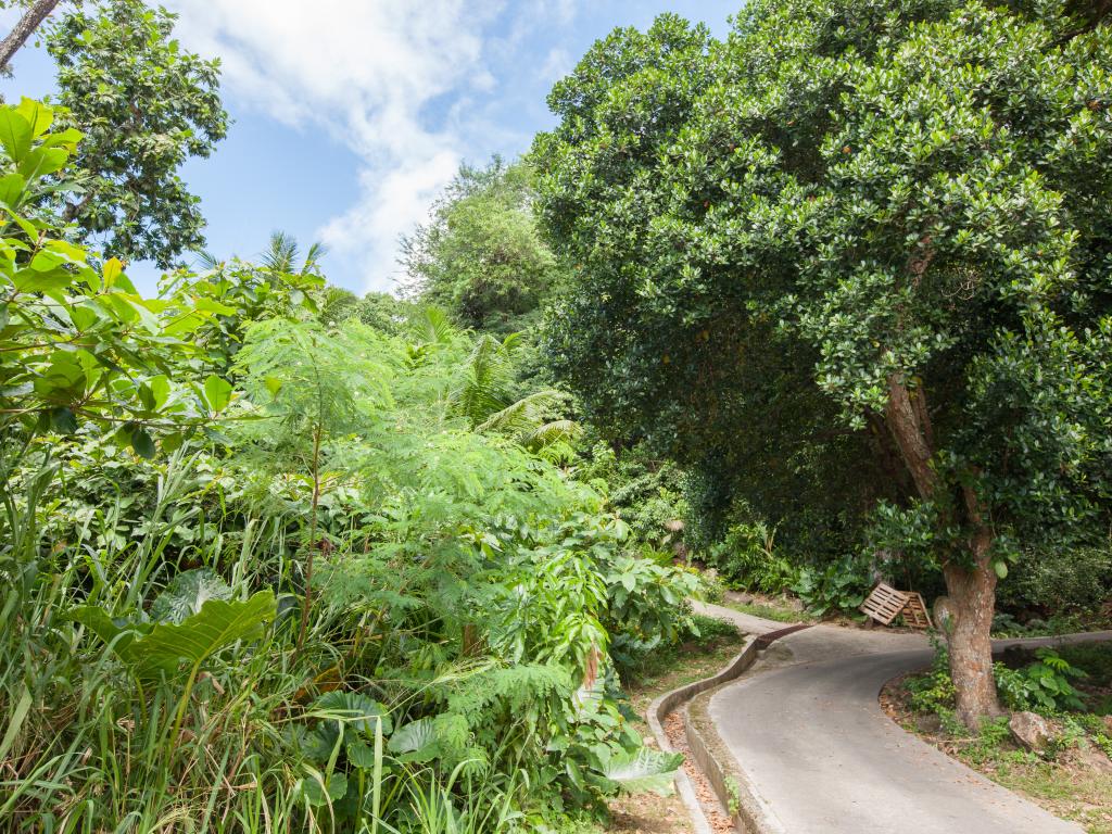 Le Duc de Praslin Hillside Villas - Foto 7