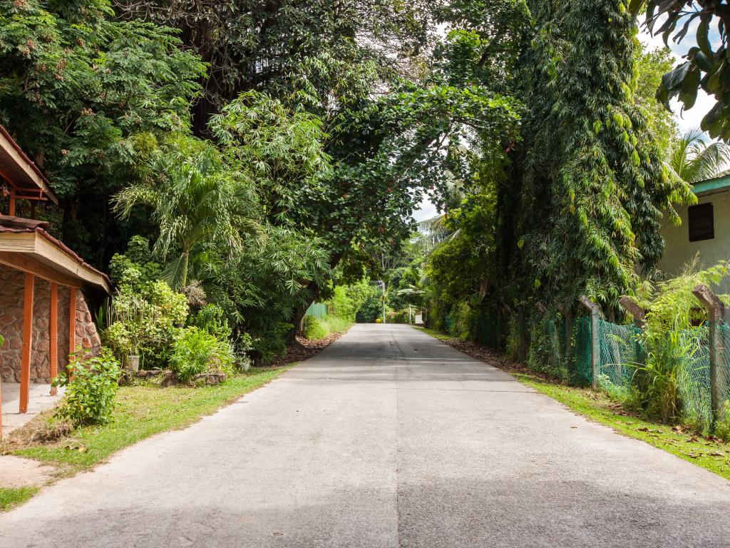 Le Duc de Praslin Hillside Villas - Foto 8