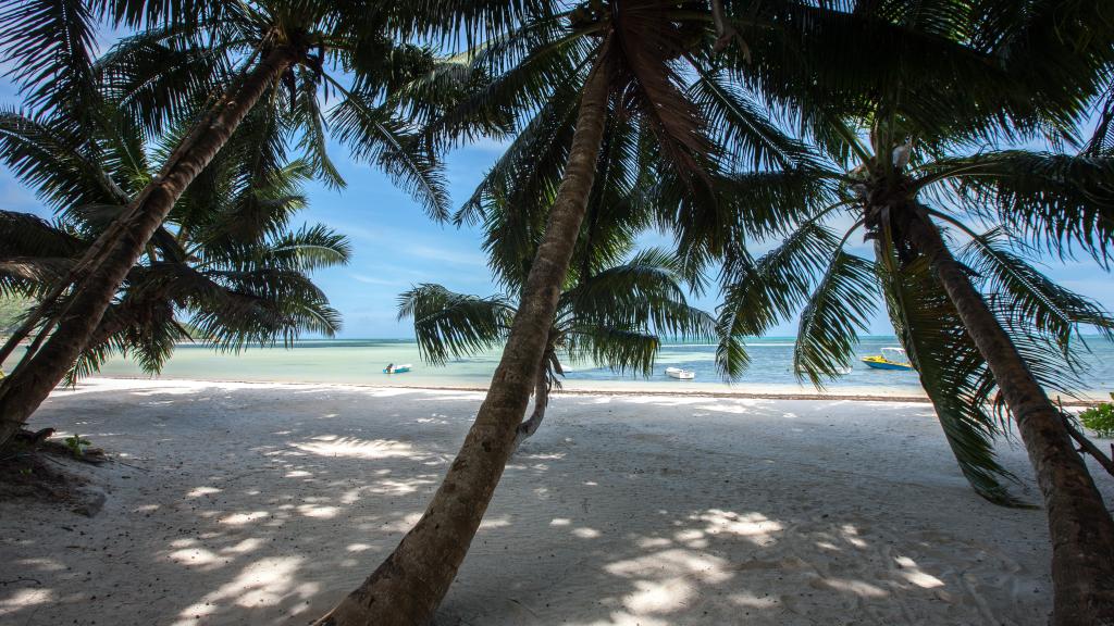 Foto 67: Le Relax Beach Resort - Praslin (Seychelles)