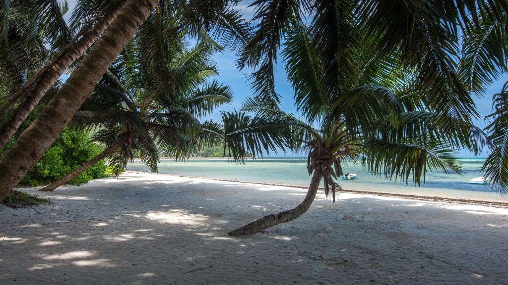 Photo 70: Le Relax Beach Resort - Praslin (Seychelles)