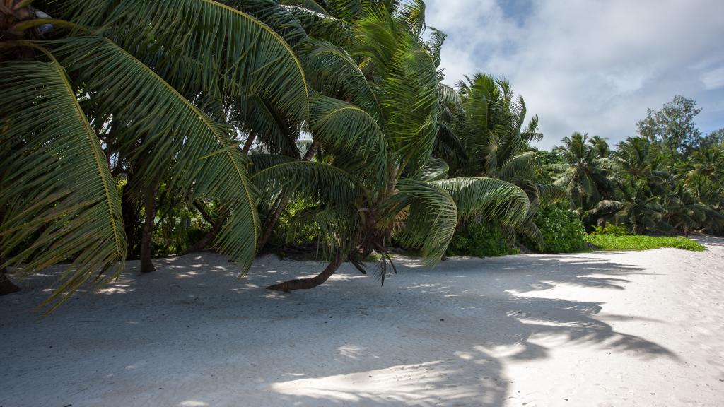 Foto 71: Le Relax Beach Resort - Praslin (Seychelles)