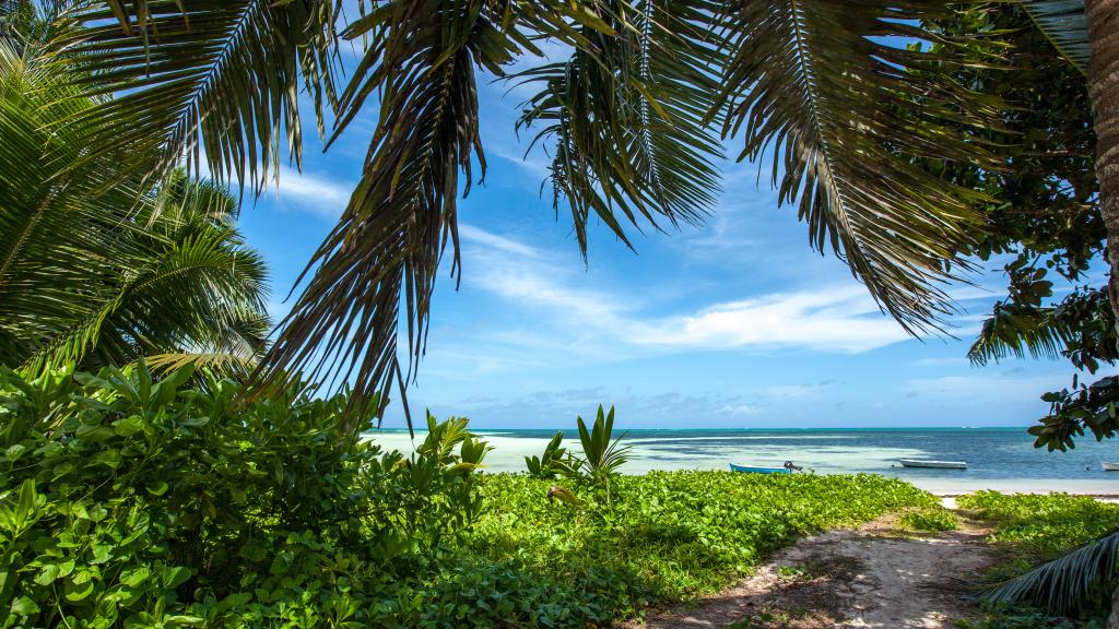 Photo 66: Le Relax Beach Resort - Praslin (Seychelles)