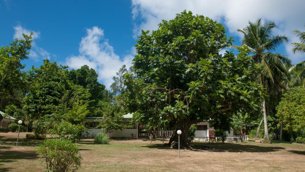 Foto 38: Chalet Bamboo Vert - La Digue (Seychellen)