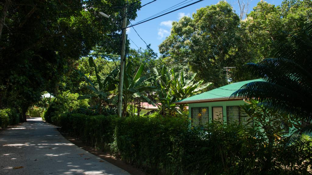 Photo 25: Chalet Bamboo Vert - La Digue (Seychelles)