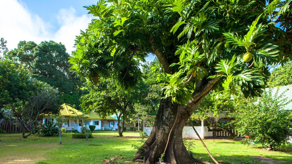 Photo 81: Chalet Bamboo Vert - La Digue (Seychelles)