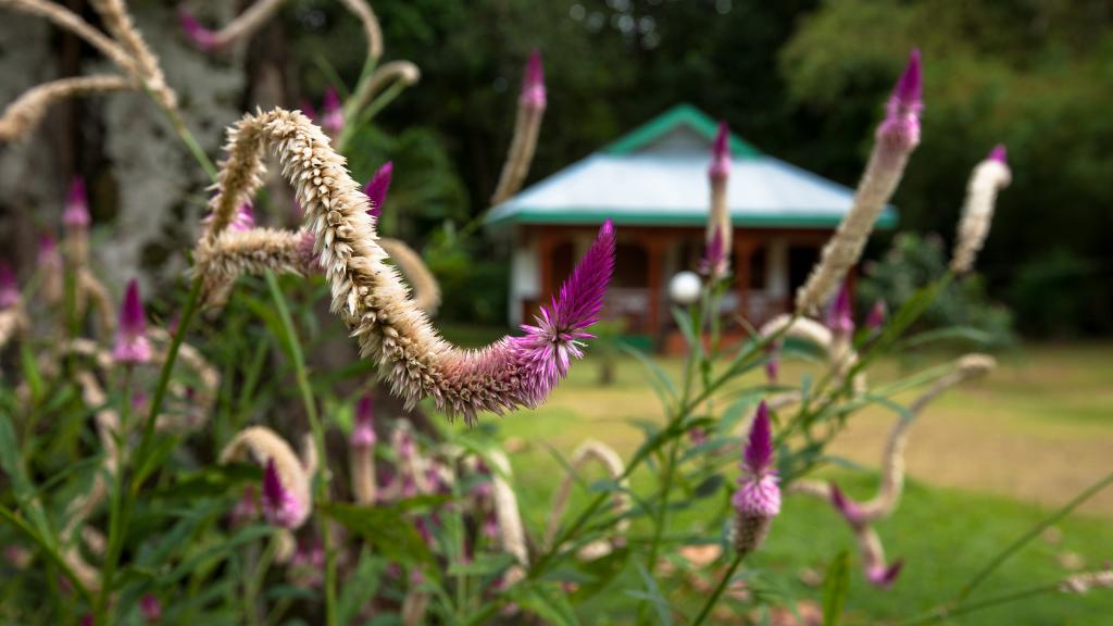 Photo 80: Chalet Bamboo Vert - La Digue (Seychelles)