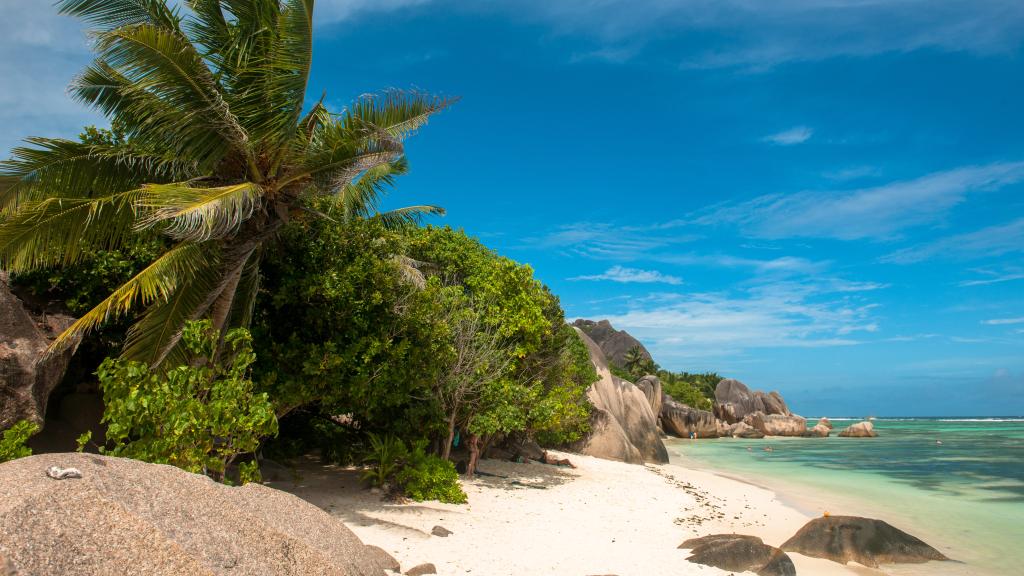 Photo 8: Chalet Bamboo Vert - La Digue (Seychelles)