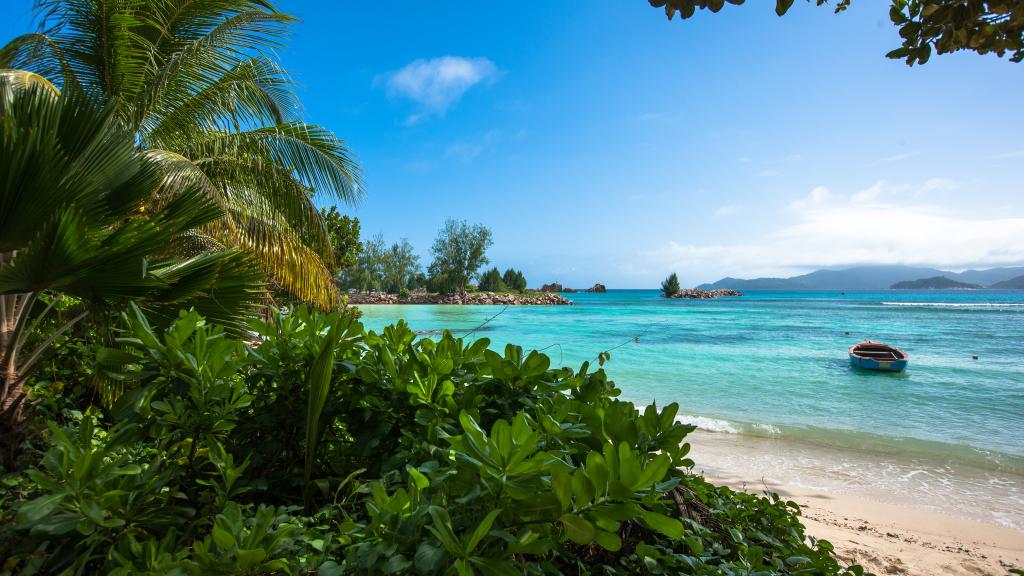 Photo 9: Chalet Bamboo Vert - La Digue (Seychelles)