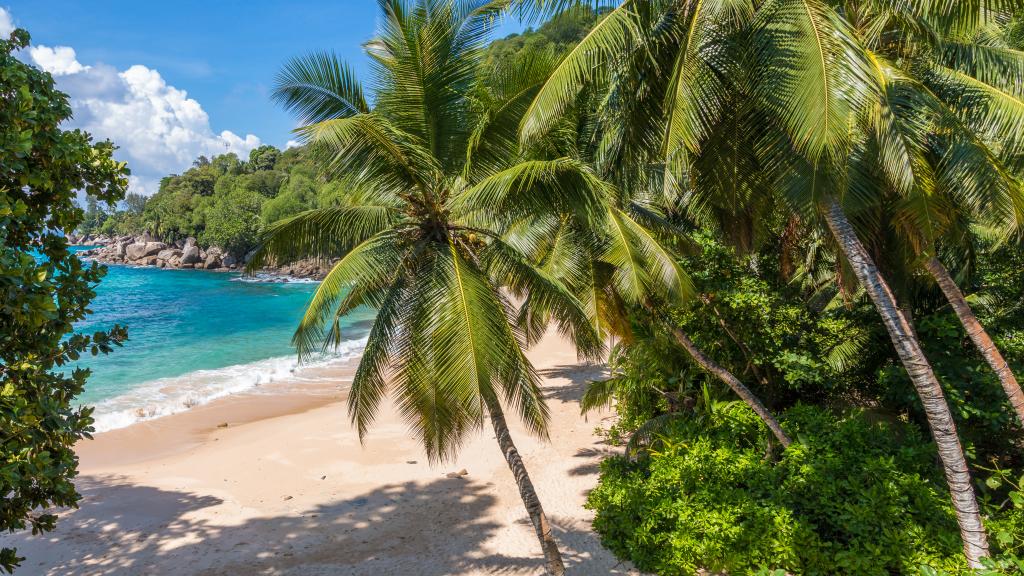 Foto 23: L'Ilot Beach Chalets - Mahé (Seychelles)