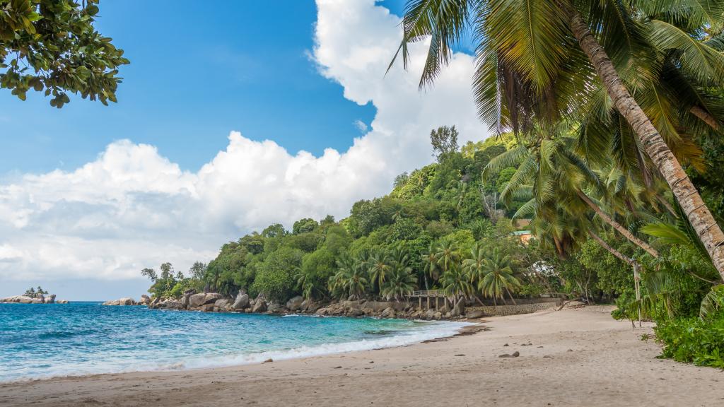 Foto 24: L'Ilot Beach Chalets - Mahé (Seychelles)