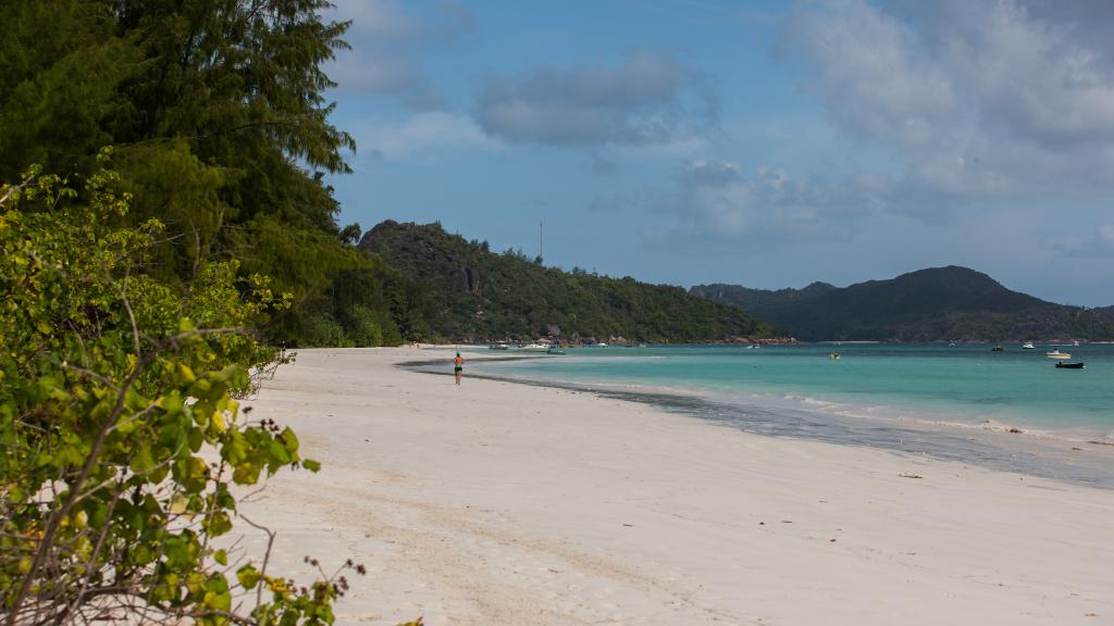 Foto 63: Heliconia Grove - Praslin (Seychelles)