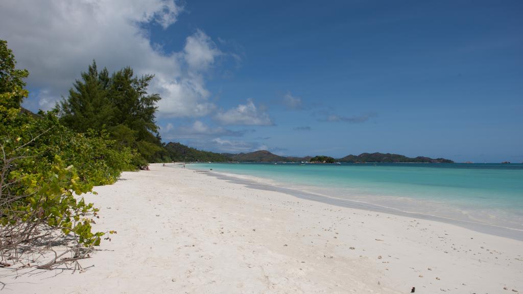 Foto 61: Heliconia Grove - Praslin (Seychelles)