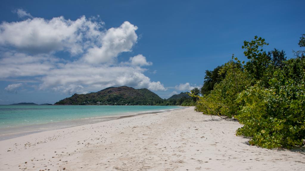 Foto 62: Heliconia Grove - Praslin (Seychelles)