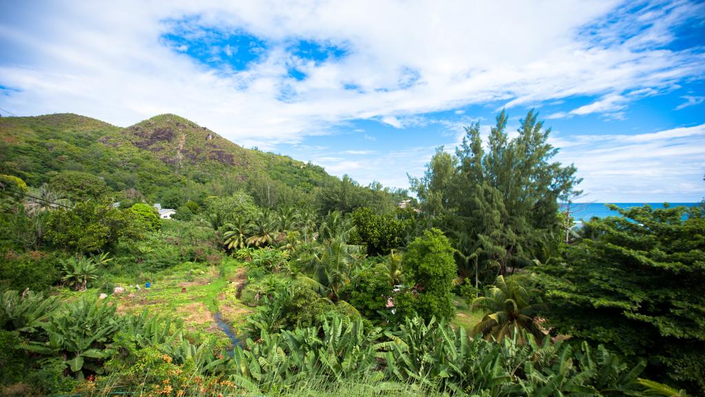 Foto 17: Summer Self Catering - Praslin (Seychellen)