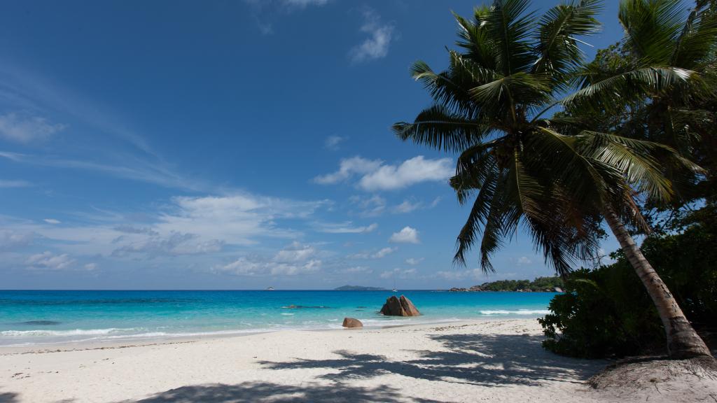 Photo 17: Le Chevalier Bay Guesthouse - Praslin (Seychelles)