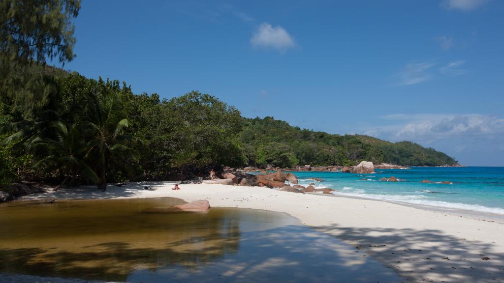 Photo 16: Le Chevalier Bay Guesthouse - Praslin (Seychelles)