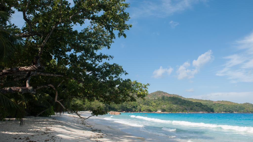 Foto 8: Le Chevalier Bay Guesthouse - Praslin (Seychelles)