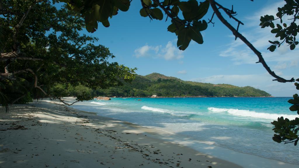 Foto 9: Le Chevalier Bay Guesthouse - Praslin (Seychelles)