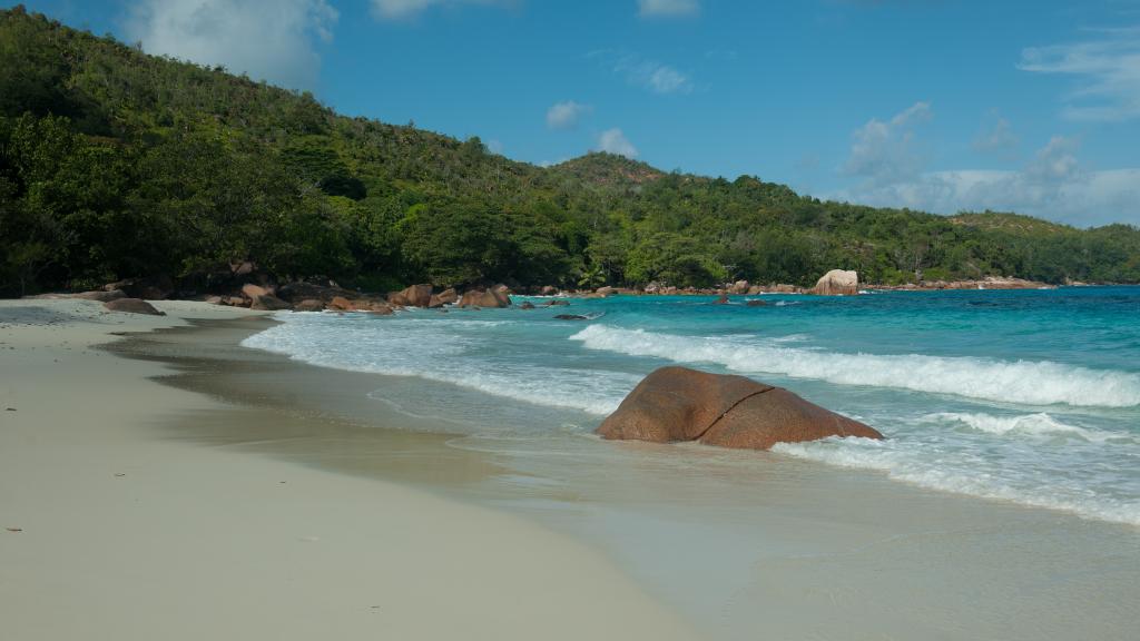 Photo 13: Le Chevalier Bay Guesthouse - Praslin (Seychelles)