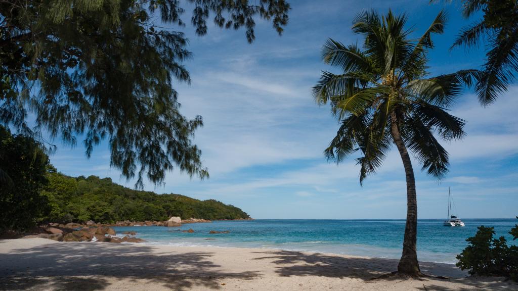 Foto 31: Le Chevalier Bay Guesthouse - Praslin (Seychelles)