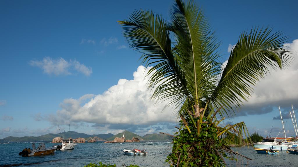 Photo 41: Buisson Guest House - La Digue (Seychelles)