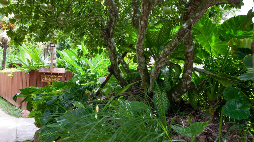 Foto 12: Buisson Guest House - La Digue (Seychellen)