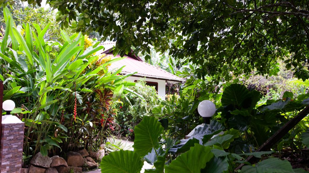 Foto 14: Buisson Guest House - La Digue (Seychellen)