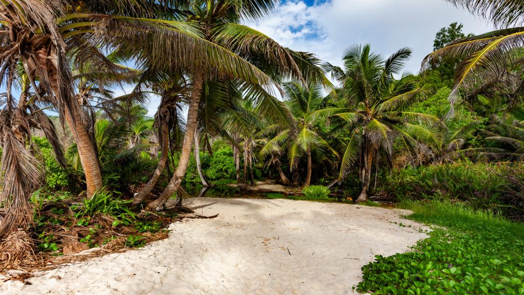 Photo 112: Villa Source D'Argent - La Digue (Seychelles)