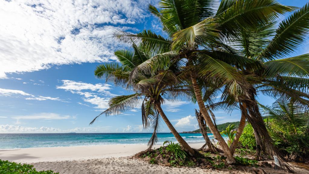 Photo 110: Villa Source D'Argent - La Digue (Seychelles)