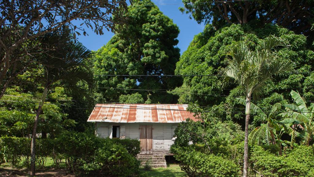 Foto 24: The Old School Self Catering - Praslin (Seychelles)