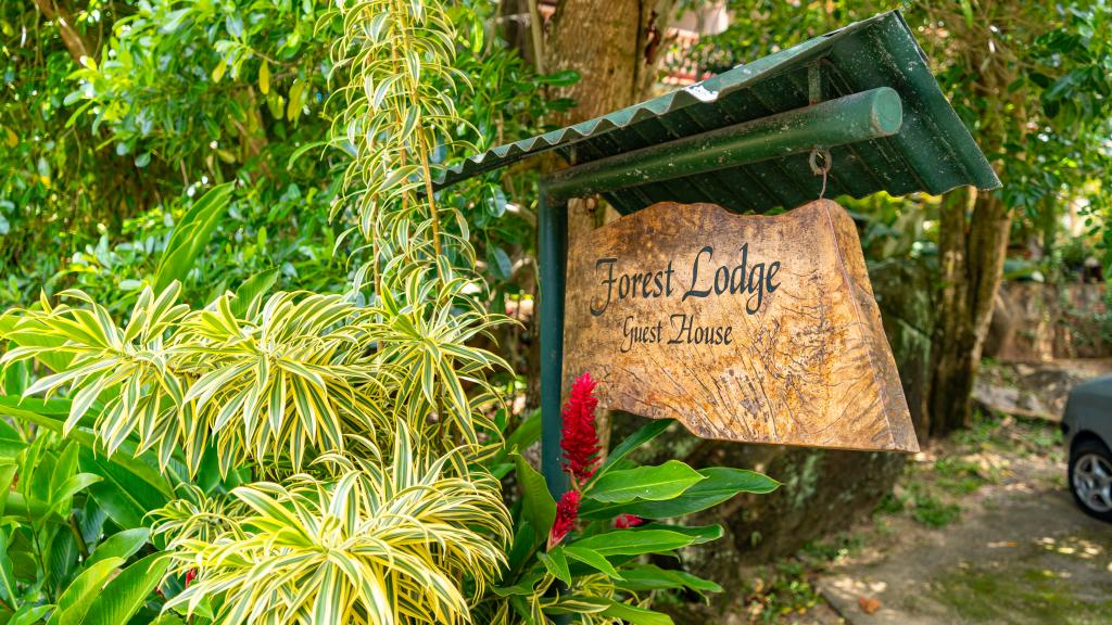 Foto 44: Forest Lodge Guest House - Mahé (Seychelles)