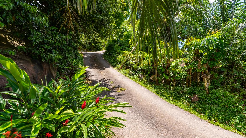 Foto 45: Forest Lodge Guest House - Mahé (Seychelles)