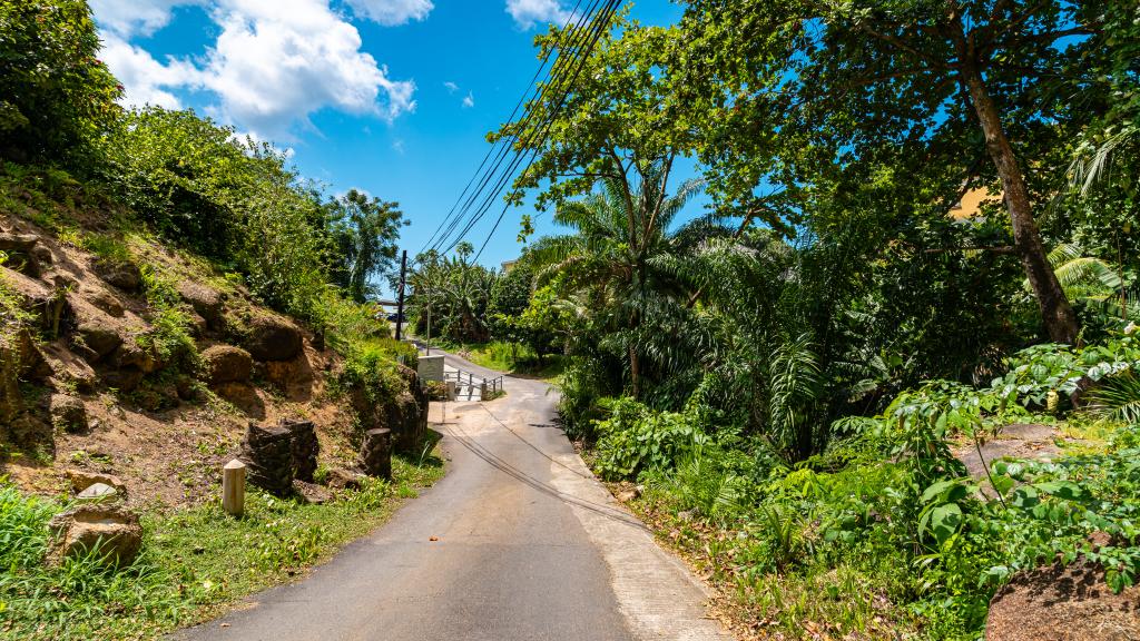 Foto 41: Forest Lodge Guest House - Mahé (Seychelles)