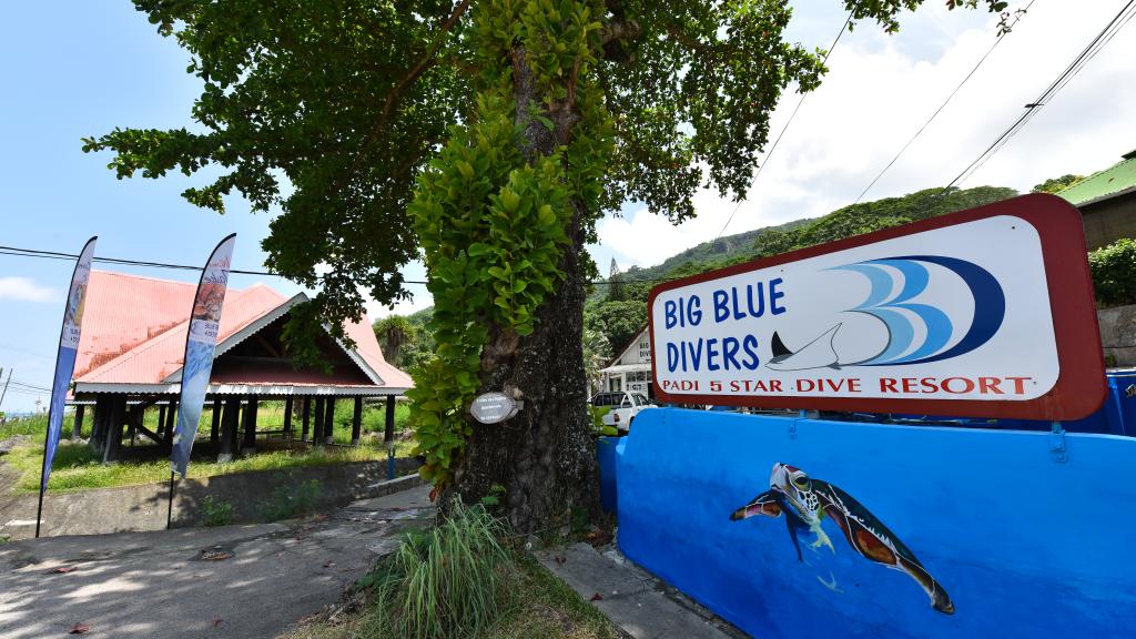 Photo 21: Anse Norwa Self Catering - Mahé (Seychelles)