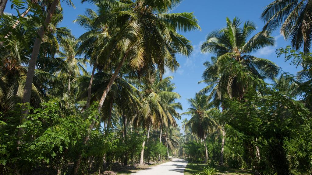 Foto 5: Oceane L'Union Villa - La Digue (Seychelles)