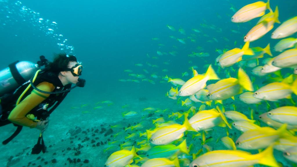 Foto 45: Pegasus Cruise (Variety Garden of Eden 4 nights) - Seychellen (Seychellen)