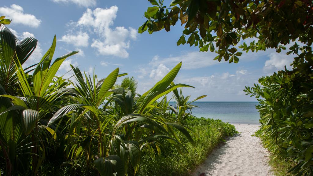 Foto 66: Dhevatara Beach Hotel - Praslin (Seychelles)