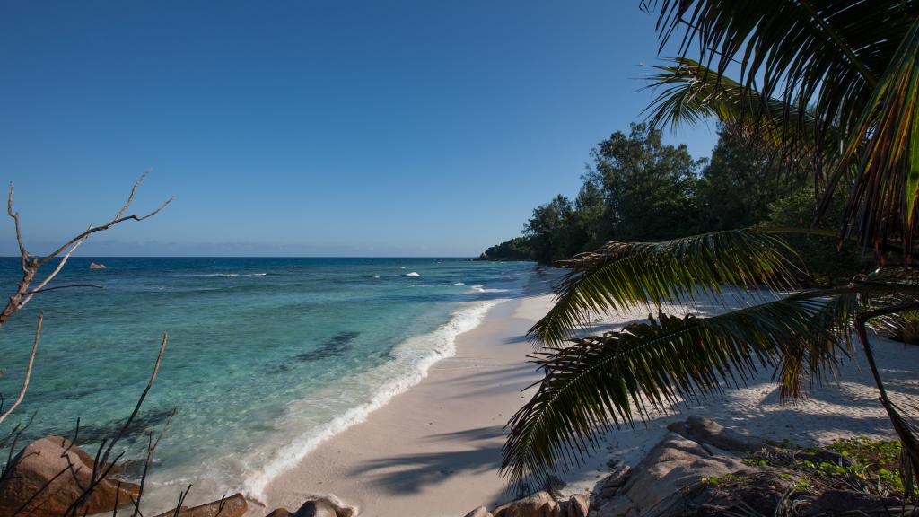 Photo 31: O'Soleil Chalets - La Digue (Seychelles)