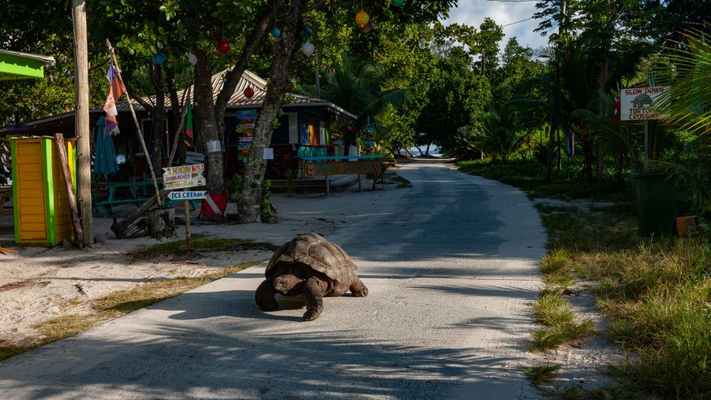 Foto 19: O'Soleil Chalets - La Digue (Seychellen)