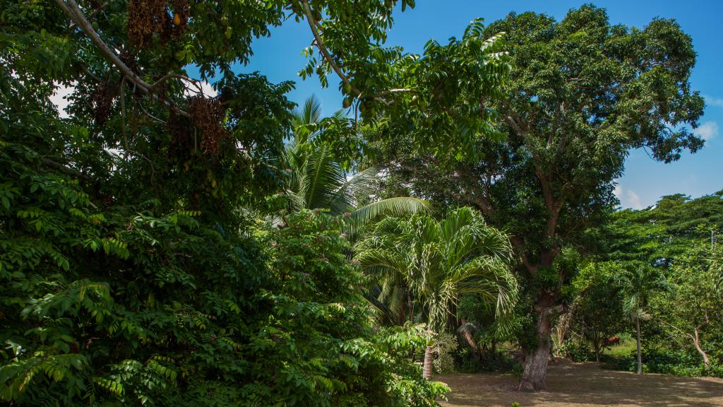 Foto 24: Villa Pasyon - La Digue (Seychellen)